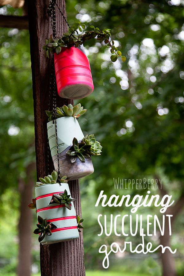 DIY hanging succulent garden | TheMombot.com