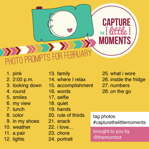 Capture the Little Moments: A 2014 Photography Challenge | TheMombot.com